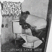Stinks Like Shit - EP