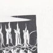 jesus candle in the liquor store