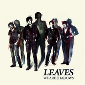 We Are Shadows by Leaves