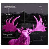 Synaesthetic Trip, Vol. 2 (Beyond the Predictable Touch)