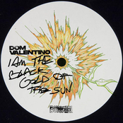 I Am The Black Gold Of The Sun