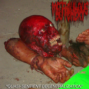 Quasi​-​Sentient Decentralization