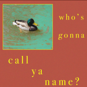 who's gonna call ya name?
