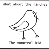 What About The Finches