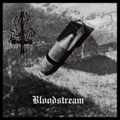 Bloodstream