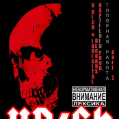 Топорная работа