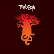 O Bebado by Tribeqa