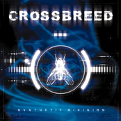 Machines by Crossbreed