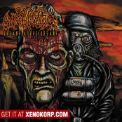 Organe après organe