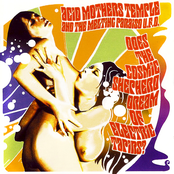 Acid Mothers Temple: Does The Cosmic Shepherd Dream of Electric Tapirs?
