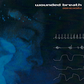 Wounded Breath