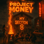My Section 8