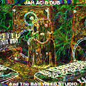 Acid Revolution In Dub Chapter 1 (Tracks from 2000-2001)