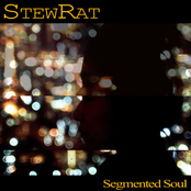 Segmented Soul