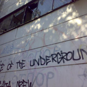 Voice Of The Underground