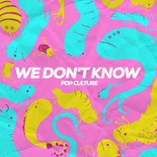 Pop Culture: We Don't Know