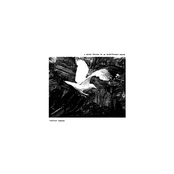 An Indifferent Ocean