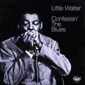 Temperature by Little Walter