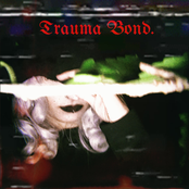 Trauma Bond