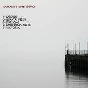 Garrafas e flores (Demo)