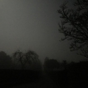 Find Love Or Die Trying!