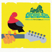 Cumbias Chichadélicas : Peruvian Psychedelic Chicha