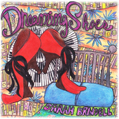 Dreaming Shoes