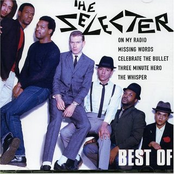 I Want Justice by The Selecter