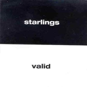 Bad Dad by Starlings