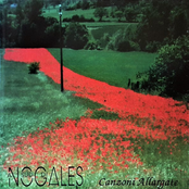 Canzoni Allargate