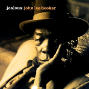 Well Well by John Lee Hooker