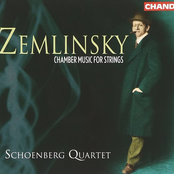 Zemlinsky: String Quartets Nos. 1-4 / 2 Satze / Maiblumen Bluhten Uberall
