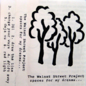 Spaces For My Dreams (Demo)