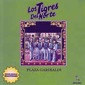 Morenita De Ojos Negros by Los Tigres Del Norte