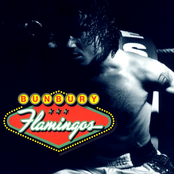 Enrique Bunbury: Flamingos