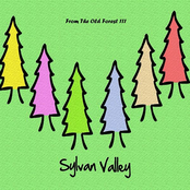 From The Old Forest III