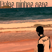 Pelas Minhas Asas