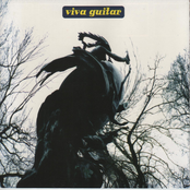 Viva Guitar