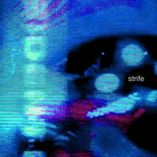 Strife