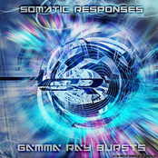 Gamma Ray Bursts by Somatic Responses