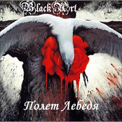 Полёт лебедя