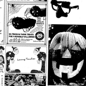 How to care for your venus fly trap