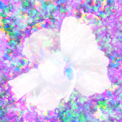Electric Flowers