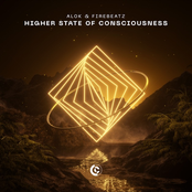 Higher State Of Consciousness - Single