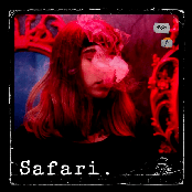Safari