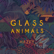 Glass Animals