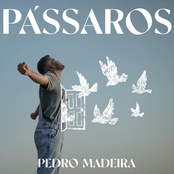 Pássaros