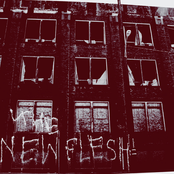 The New Flesh Demo