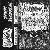 Ahulabrum / Ctenizidae