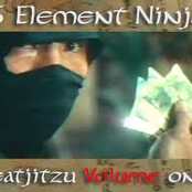 5 element ninja